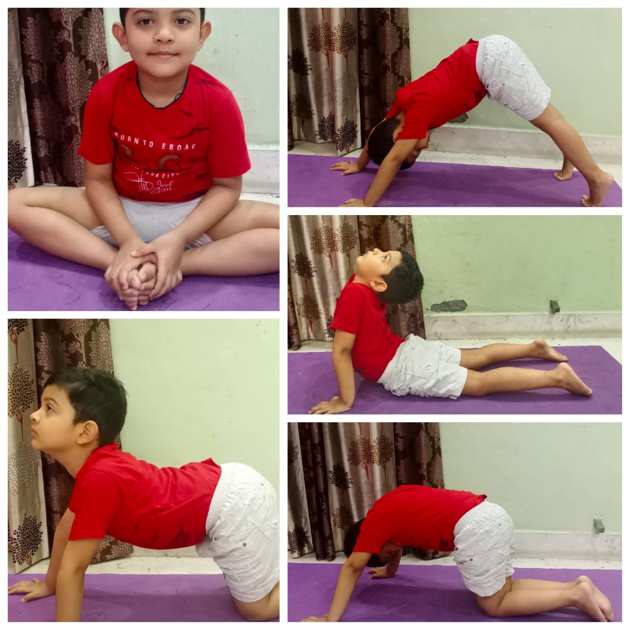 INTERNATIONAL YOGA DAY